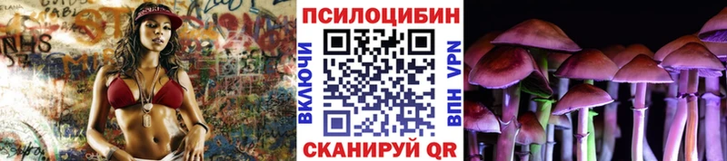 наркошоп  Воскресенск  Псилоцибиновые грибы Psilocybine cubensis 