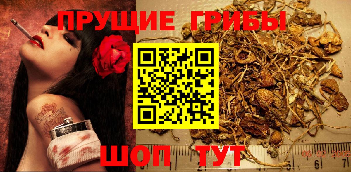 Псилоцибиновые грибы мухоморы Воскресенск